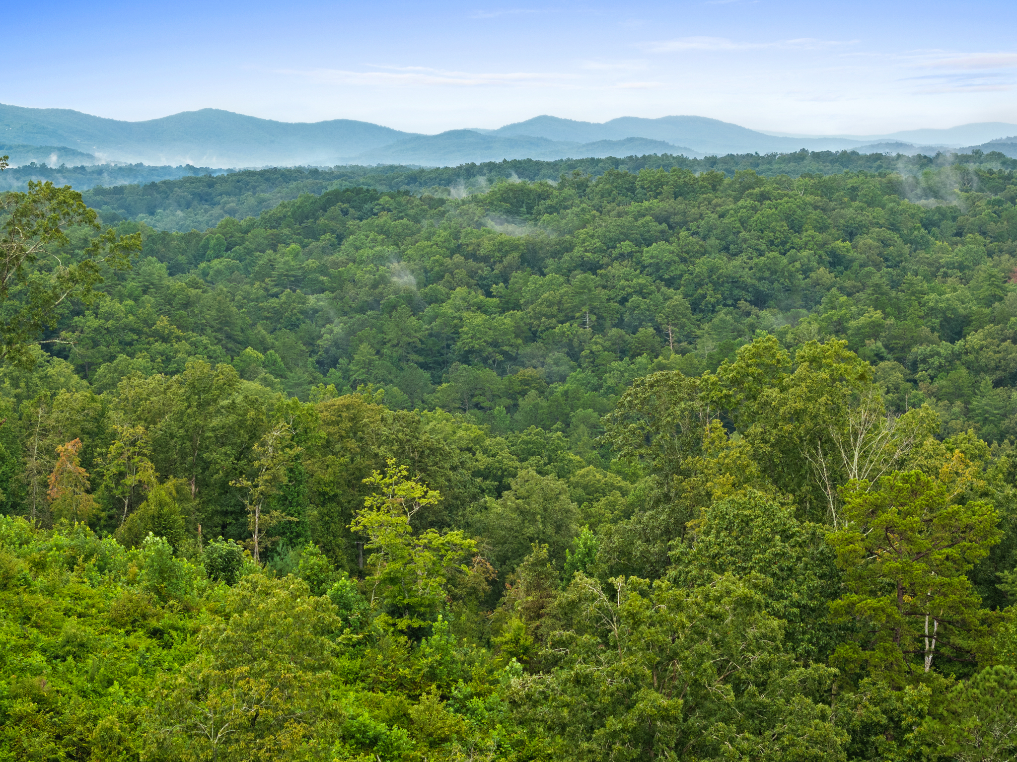 Panoramic view of North Georgia mountains with rain mist
